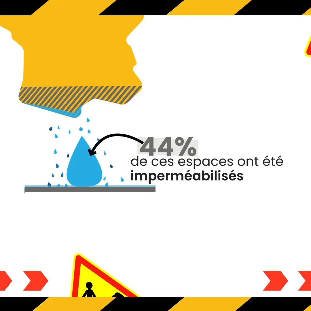 Slide 3 : Visualisation des données